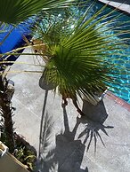 The Chancellor Hotel