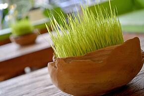 Whiz Hotel Malioboro Yogyakarta