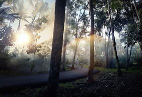 Residences at Dorado Beach, a Ritz-Carlton Reserve