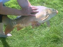 Glebe Farm Apartments