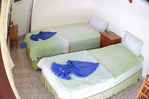 Harmony House - Hostel