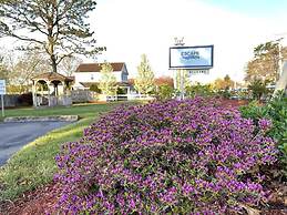 The Escape Inn