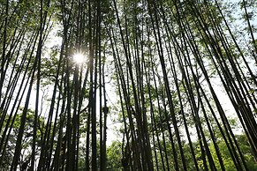 Hotel Misión Los Cocuyos