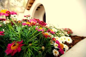 Hotel Ceiba Maria Cala Dor