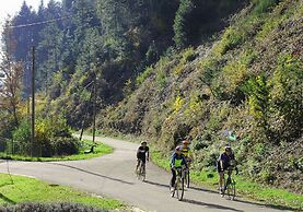 Wellness Pension am Rain