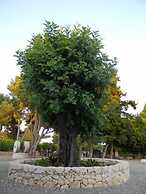 Agriturismo Chiusa di Carlo