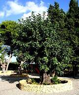 Agriturismo Chiusa di Carlo