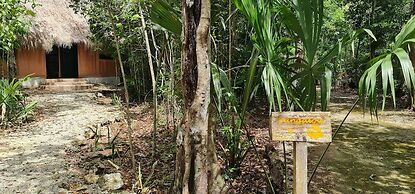 Jolie Jungle Eco Hotel