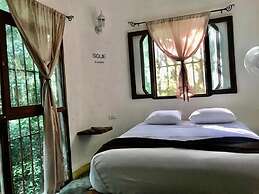 Jolie Jungle Eco Hotel
