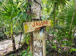 Jolie Jungle Eco Hotel