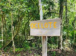 Jolie Jungle Eco Hotel