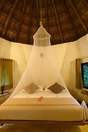 Jolie Jungle Eco Hotel