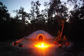 Jolie Jungle Eco Hotel