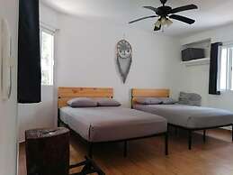 Jolie Jungle Eco Hotel