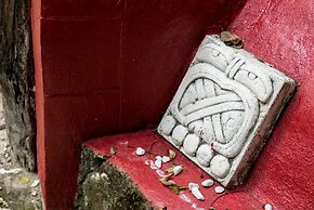 Jolie Jungle Eco Hotel