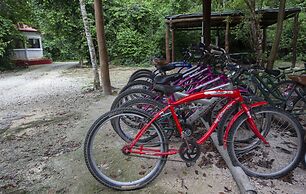 Jolie Jungle Eco Hotel