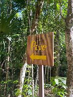 Jolie Jungle Eco Hotel