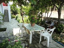 Smile Stella Studios