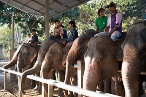 Collection O Khu Mueang near Tha Phae Gate (formerly Lai Thai Guesthou