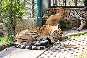 Collection O Khu Mueang near Tha Phae Gate (formerly Lai Thai Guesthou