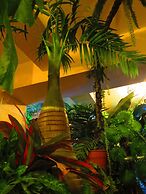 Stella Resort - Hostel