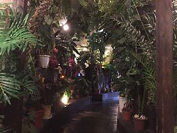 Stella Resort - Hostel