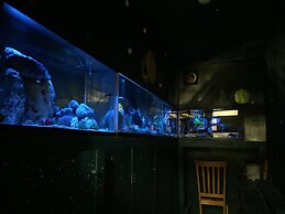 Stella Resort - Hostel