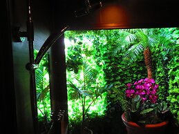 Stella Resort - Hostel