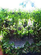 Stella Resort - Hostel