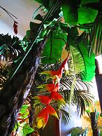 Stella Resort - Hostel