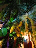 Stella Resort - Hostel