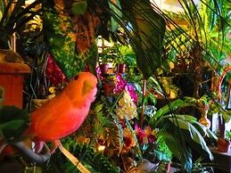 Stella Resort - Hostel