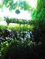 Stella Resort - Hostel