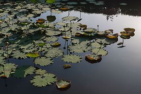 Rosario Oasis Resort - SHA Plus