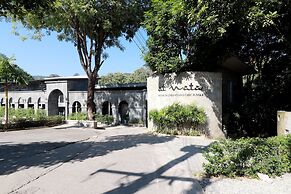 Capital O 464 At Nata Chiangmai Chic Jungle