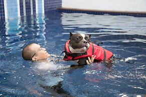 Ketawa Pet Friendly Hotel