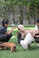 Ketawa Pet Friendly Hotel