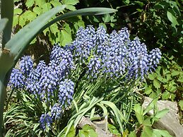 iCOS Guesthouse 2 for Female - Hostel