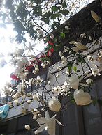 iCOS Guesthouse 2 for Female - Hostel