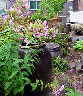 iCOS Guesthouse 2 for Female - Hostel