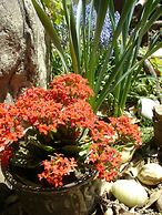 iCOS Guesthouse 2 for Female - Hostel