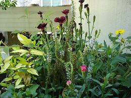 iCOS Guesthouse 2 for Female - Hostel