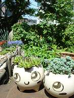 iCOS Guesthouse 2 for Female - Hostel