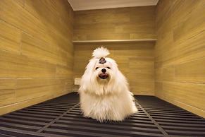 Lakeshore Hotel Hualien