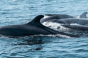 Iberostar Selection Playa Mita - All Inclusive