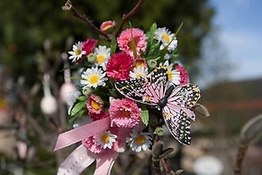 Hotel Behringers Traube