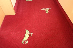 Hotel Radduscher Hafen