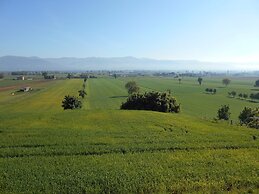 Agriturismo Podere Casenove