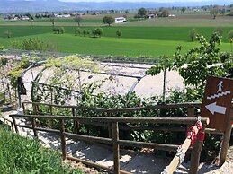 Agriturismo Podere Casenove