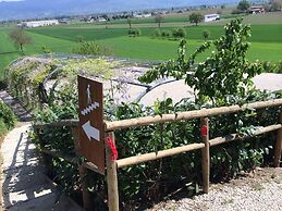 Agriturismo Podere Casenove